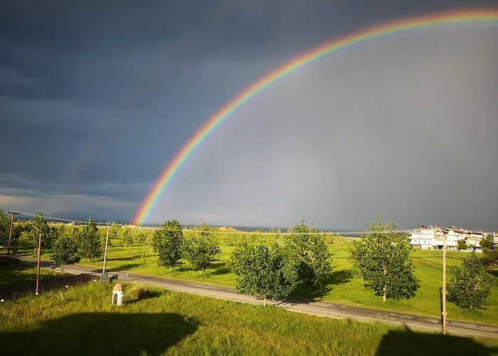 Отель Peloton 3*